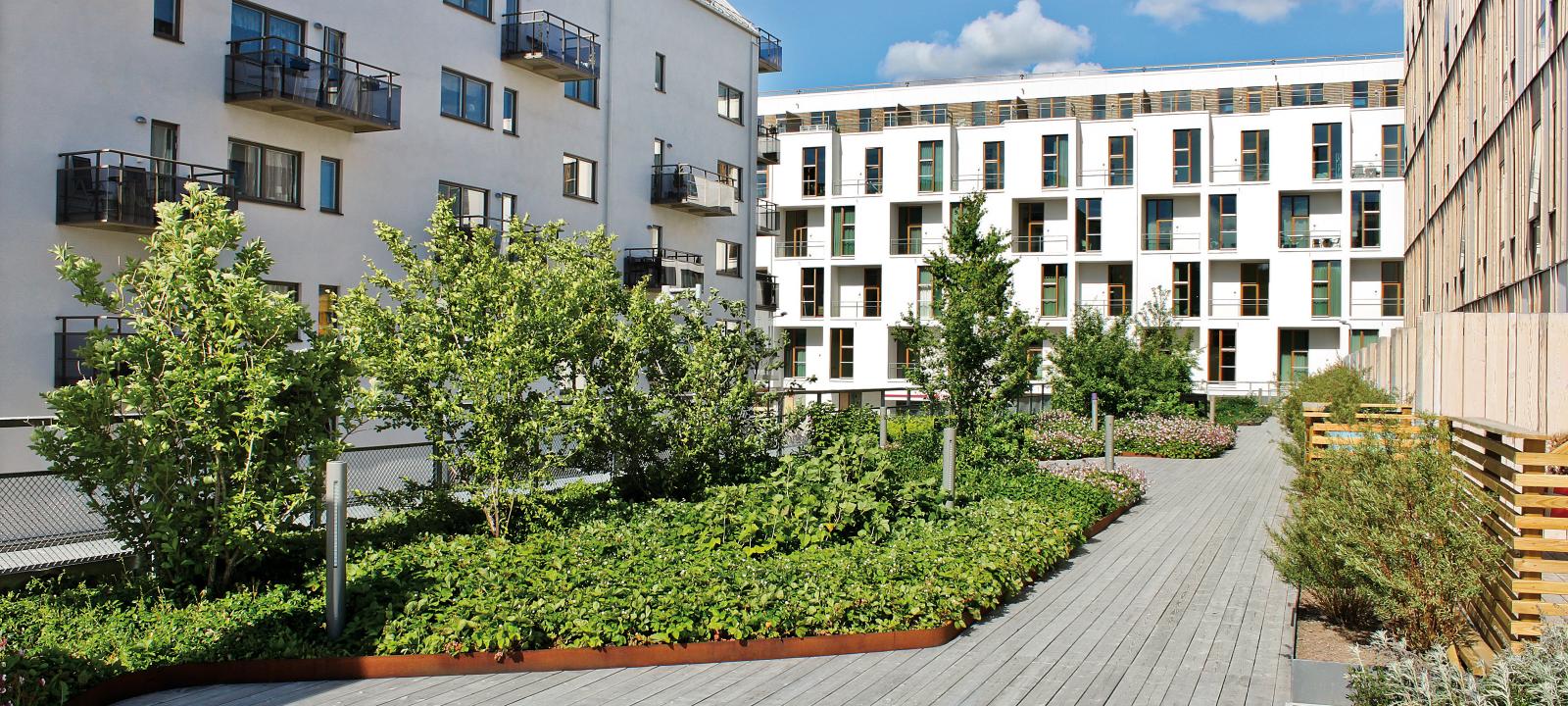 Roof garden with luscious plant beds and wooden decking